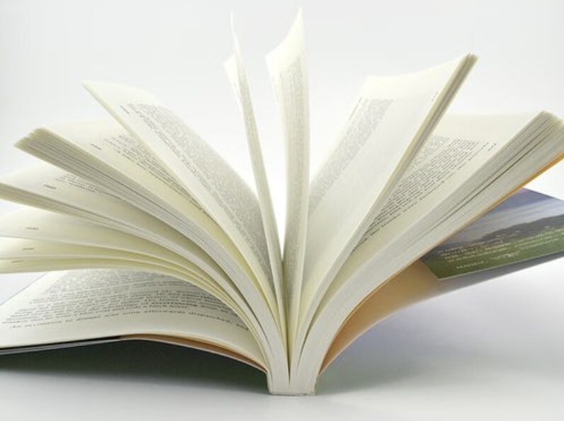 Ein aufgeschlagenes Buch mit aufgefächerten Seiten auf hellem Hintergrund.